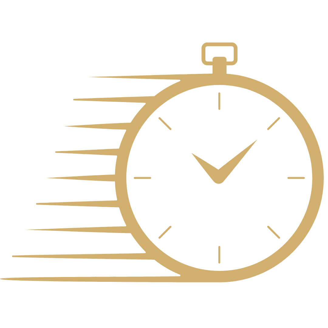 Rapid Delivery with Delivery Guarantee